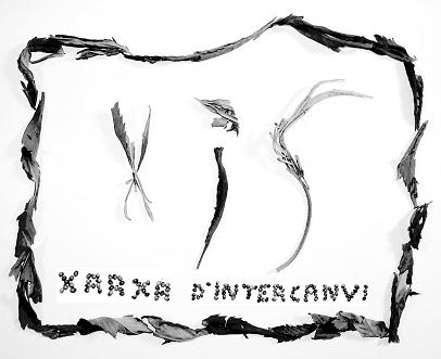 Intercanvis